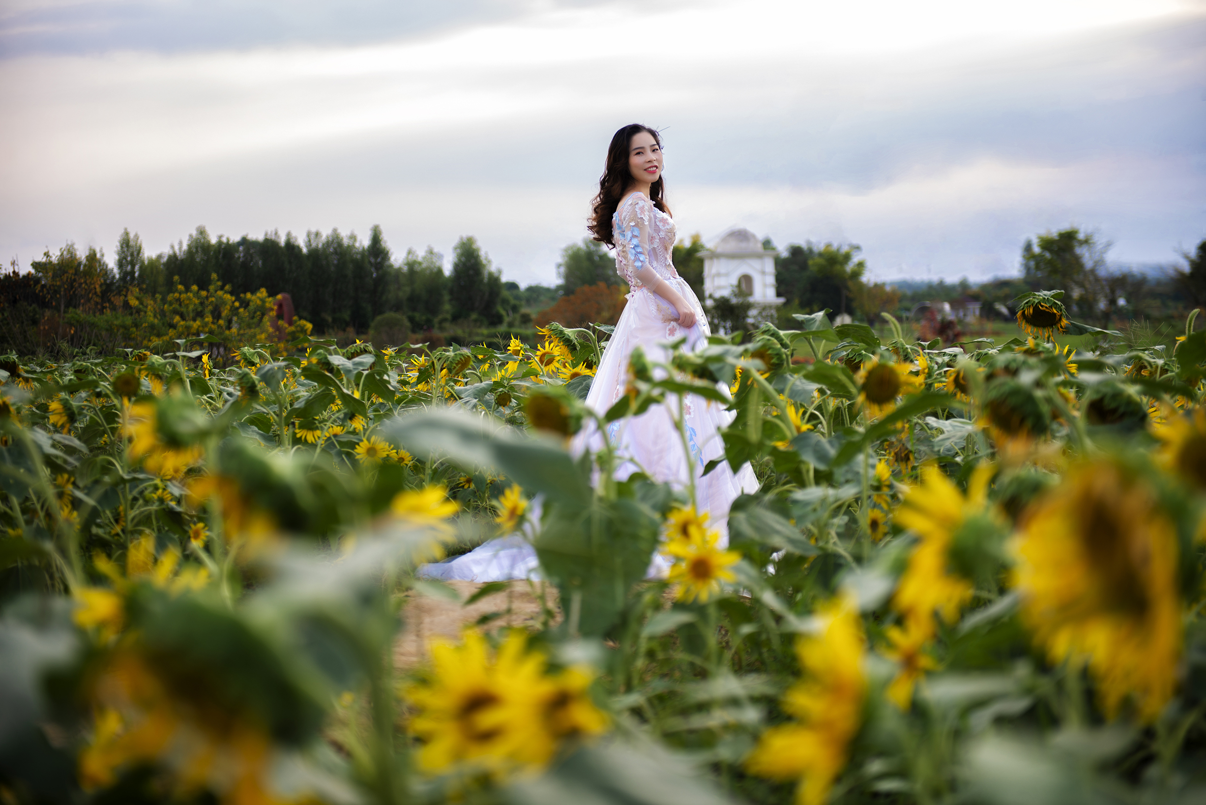 【成都諾汐視覺】夕陽下的花海の邂逅